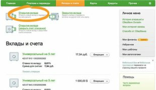 Вклад «Пополняй онлайн» от Сбербанка: условия размещения и подводные камни